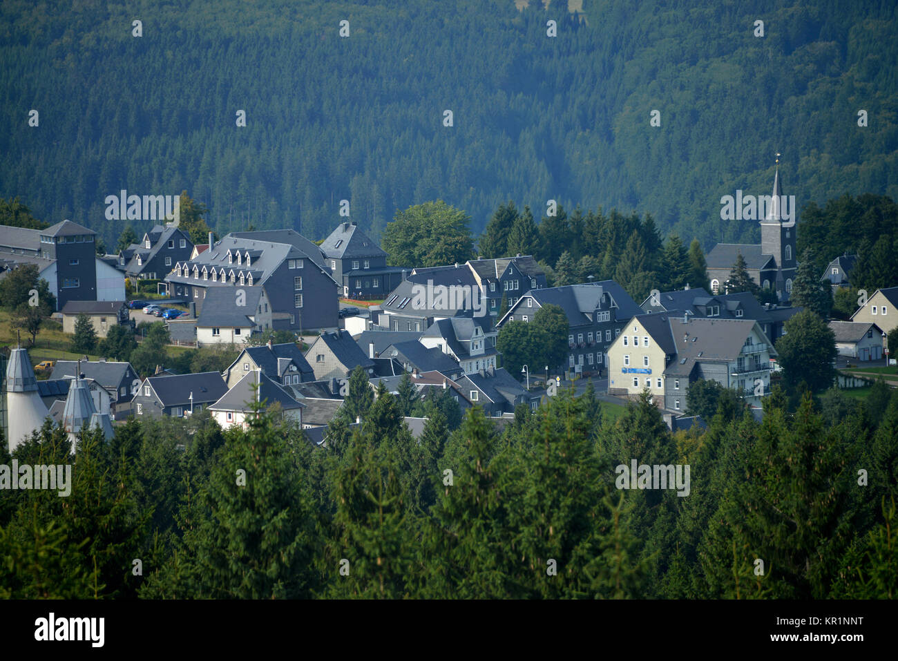 Holz, Masserberg, Thüringer Wald, Thüringen, Deutschland, Wald, Thüringer Wald, Thüringen, Deutschland Stockfoto