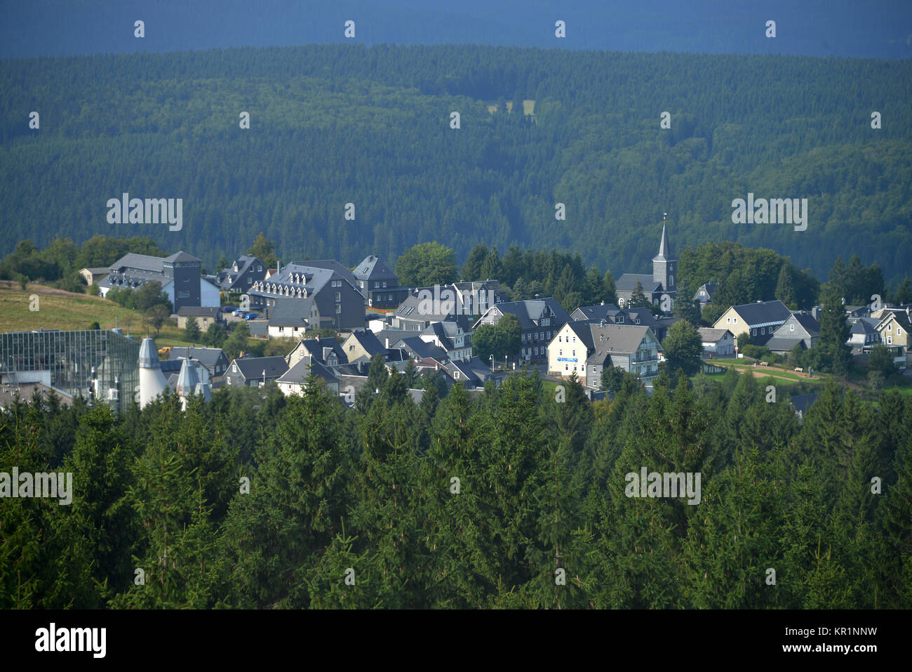 Holz, Masserberg, Thüringer Wald, Thüringen, Deutschland, Wald, Thüringer Wald, Thüringen, Deutschland Stockfoto