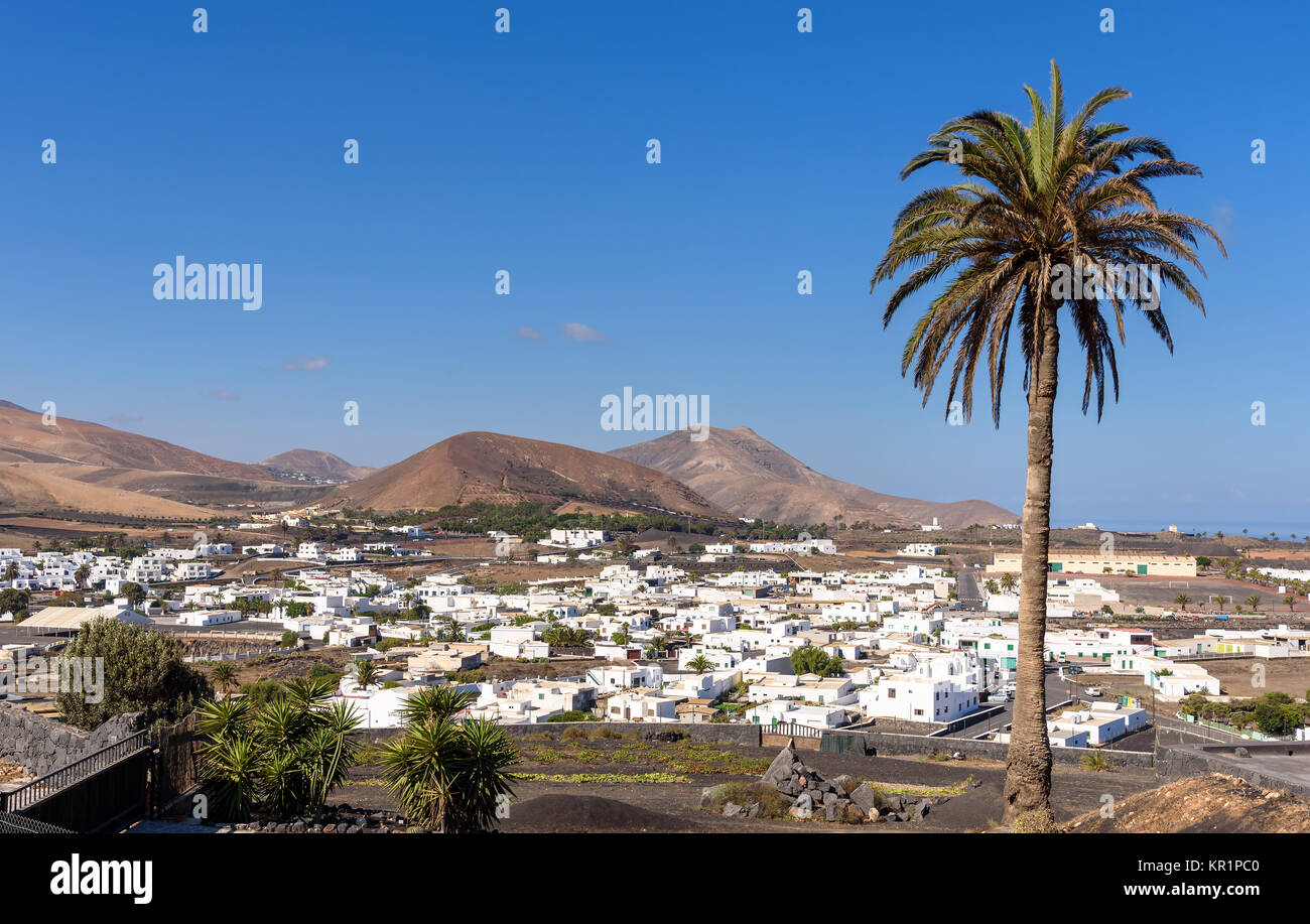 Uga Dorf und Palme, Lanzarote, Kanarische Inseln, Spanien Stockfoto