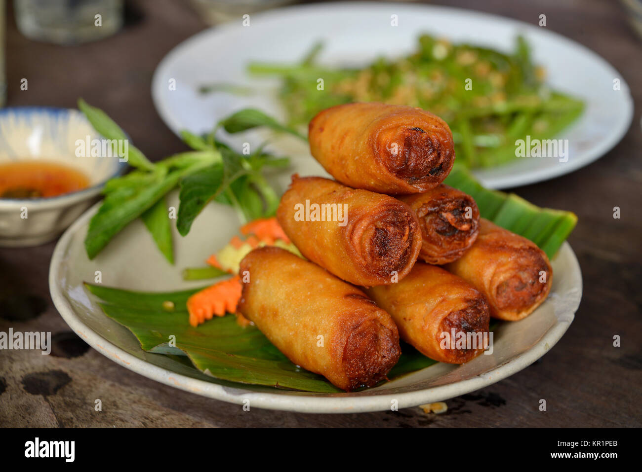 Frühlingsrollen, eine 'geheime Wachen des RestaurantA', Ho Chi Minh City, Vietnam, Fruehlingsrollen, "Secret Garden Restaurant", Ho-Chi-Minh-Stadt Stockfoto