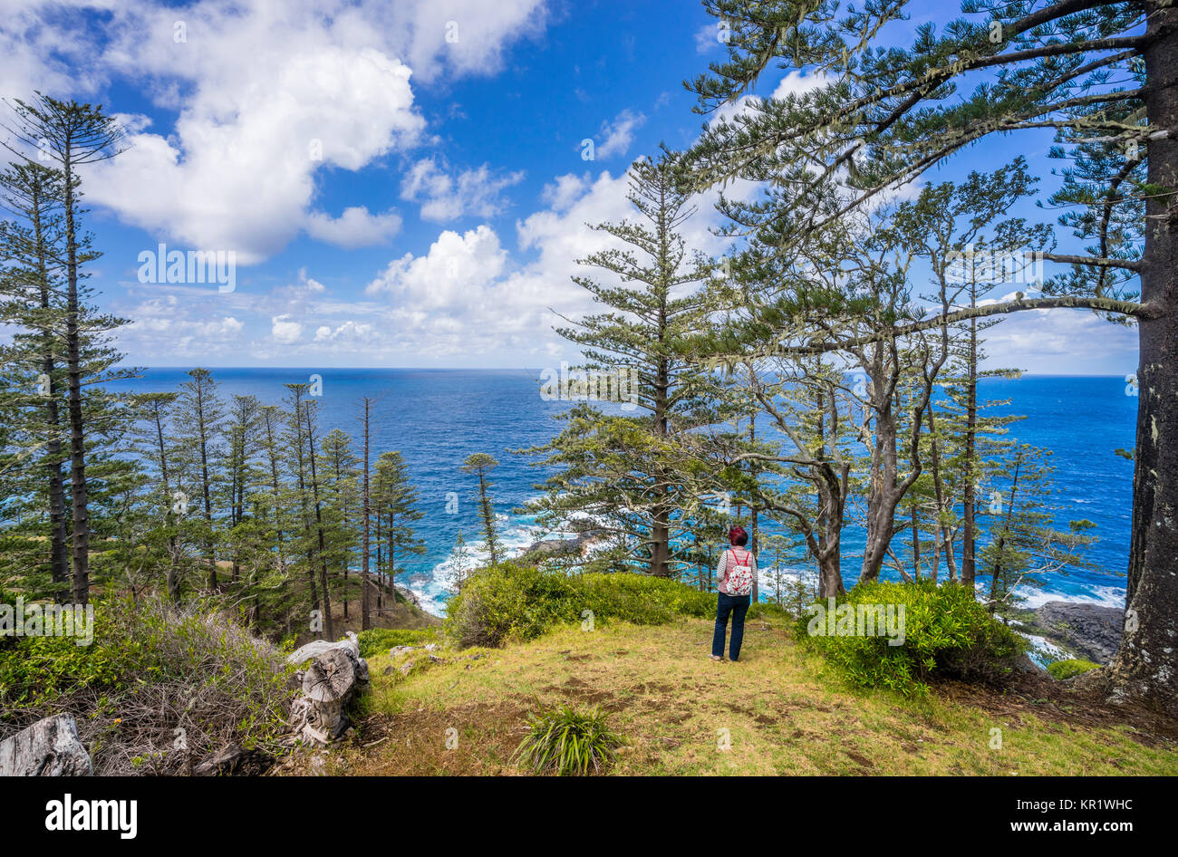 Norfolk Island, Australische externe Gebiet, Norfolk Pine Forest in zwei Schornsteine finden Stockfoto