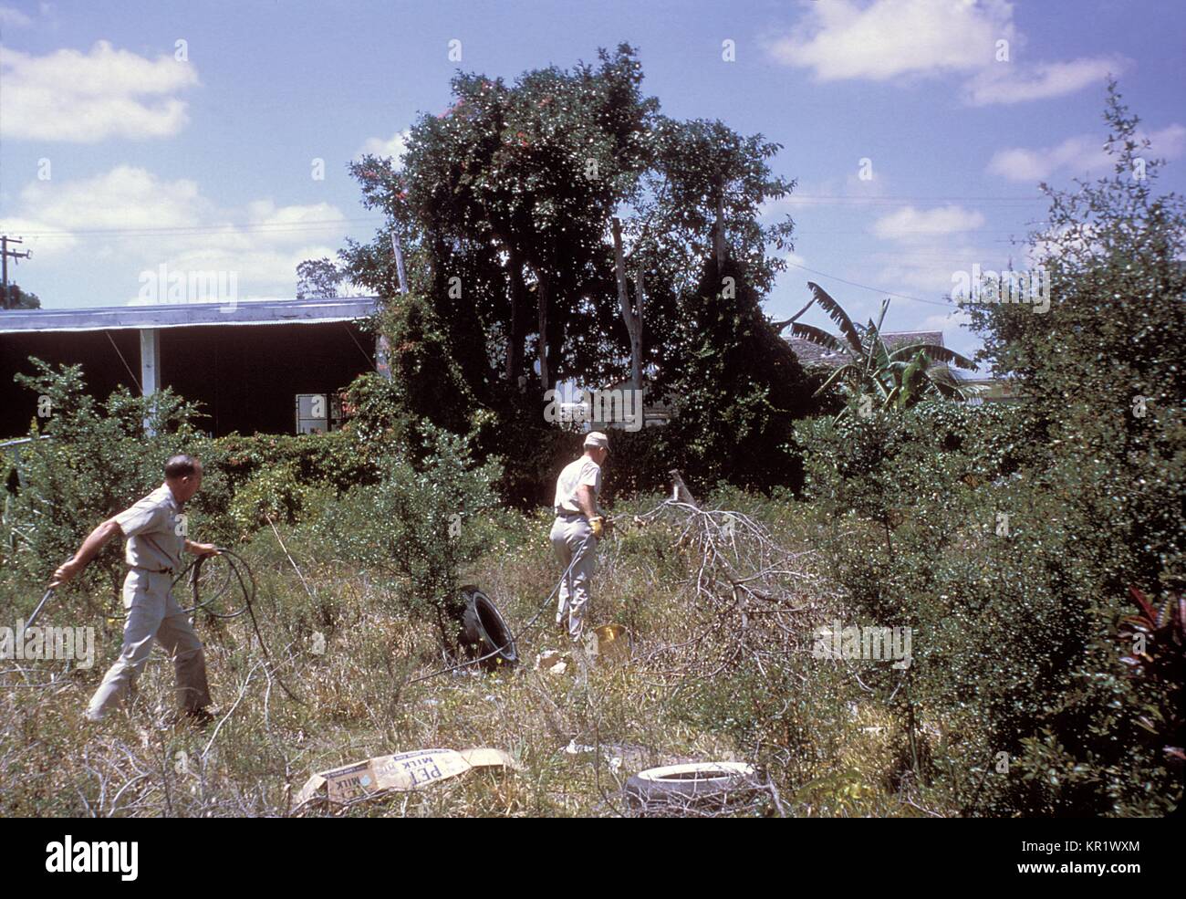 Diese Männer sind spritzen Moskito für Larven während der 1965 Aedes aegypti Tilgung Programm in Miami, Florida, 1965. In den 1960er Jahren eine große Anstrengungen unternommen, die wichtigsten städtischen Vektor Moskito von Dengue-Fieber und Gelbfieber Viren auszurotten, A. aegypti, aus dem Südosten der Vereinigten Staaten von Amerika. Mit freundlicher CDC. Stockfoto