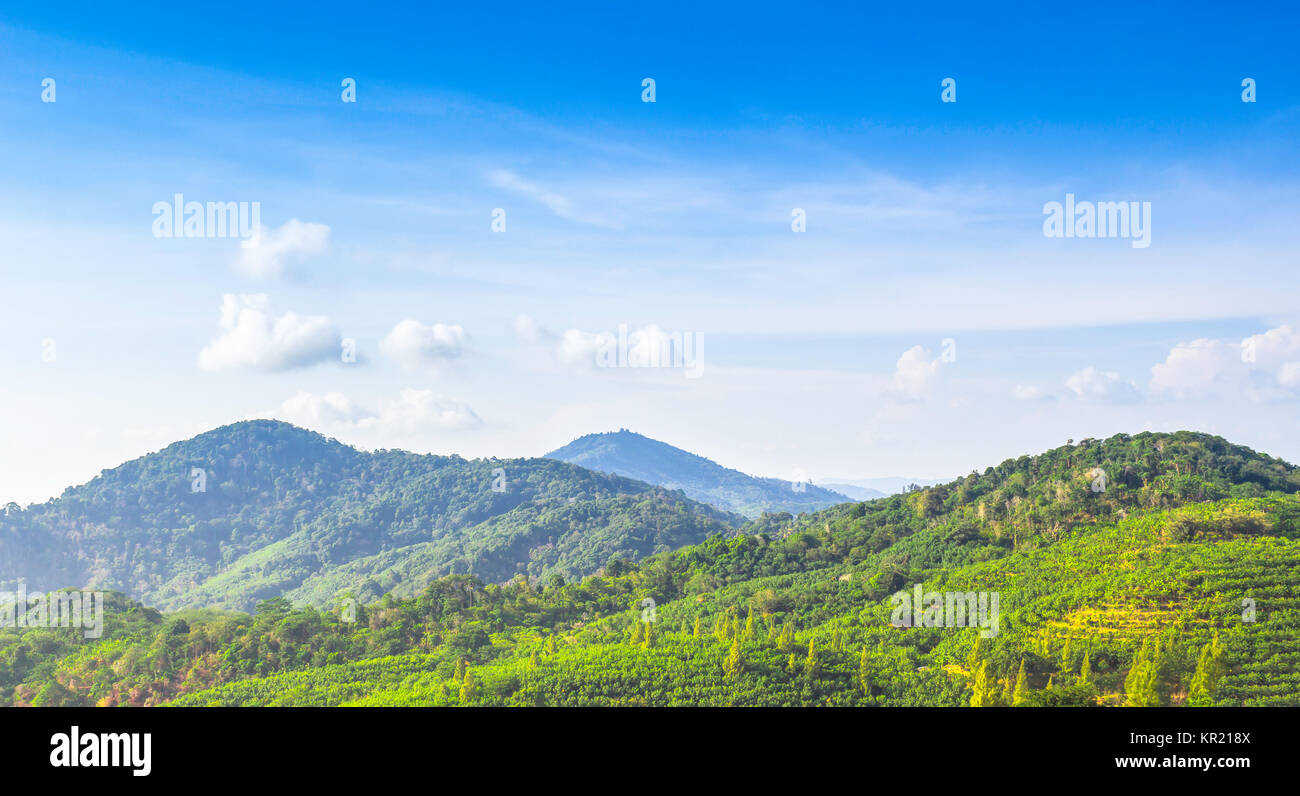 Landschaft Grün auftragen und blauer Himmel Stockfoto