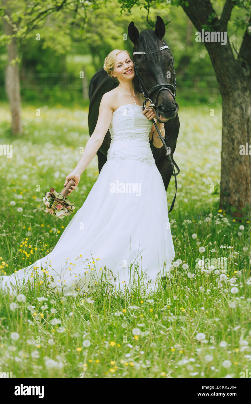 Die Braut im weissen Brautkleid stehen draußen in einer blühenden Wiese landschauft vor blühende Obstbäume und Ihren Brautstrauß in der Hand halten. Sie schmiegt sich an einen herrlichen schwarzen Pferd Stockfoto