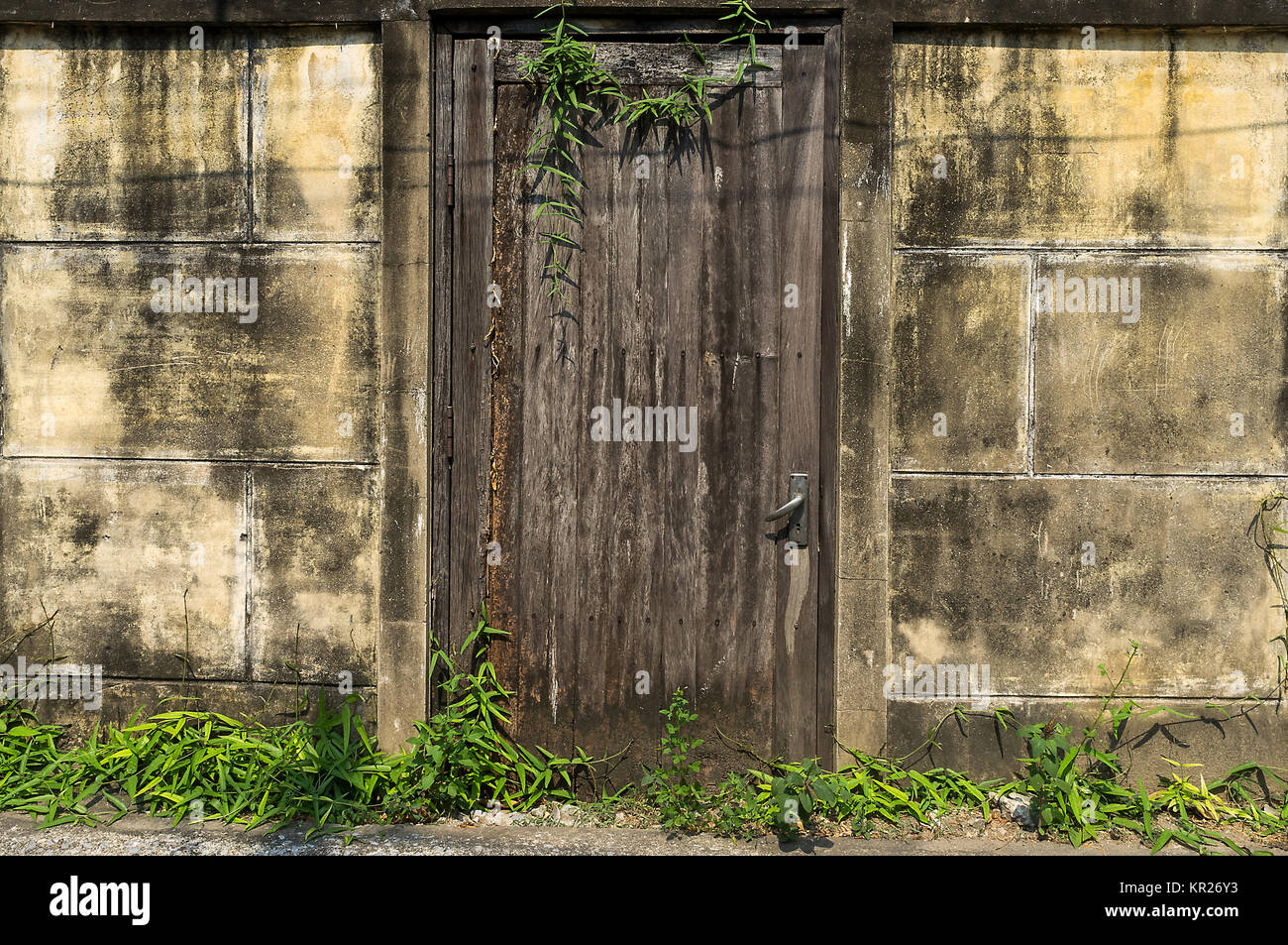 Alte Holztür mit Mauer Textur Hintergrund. Stockfoto