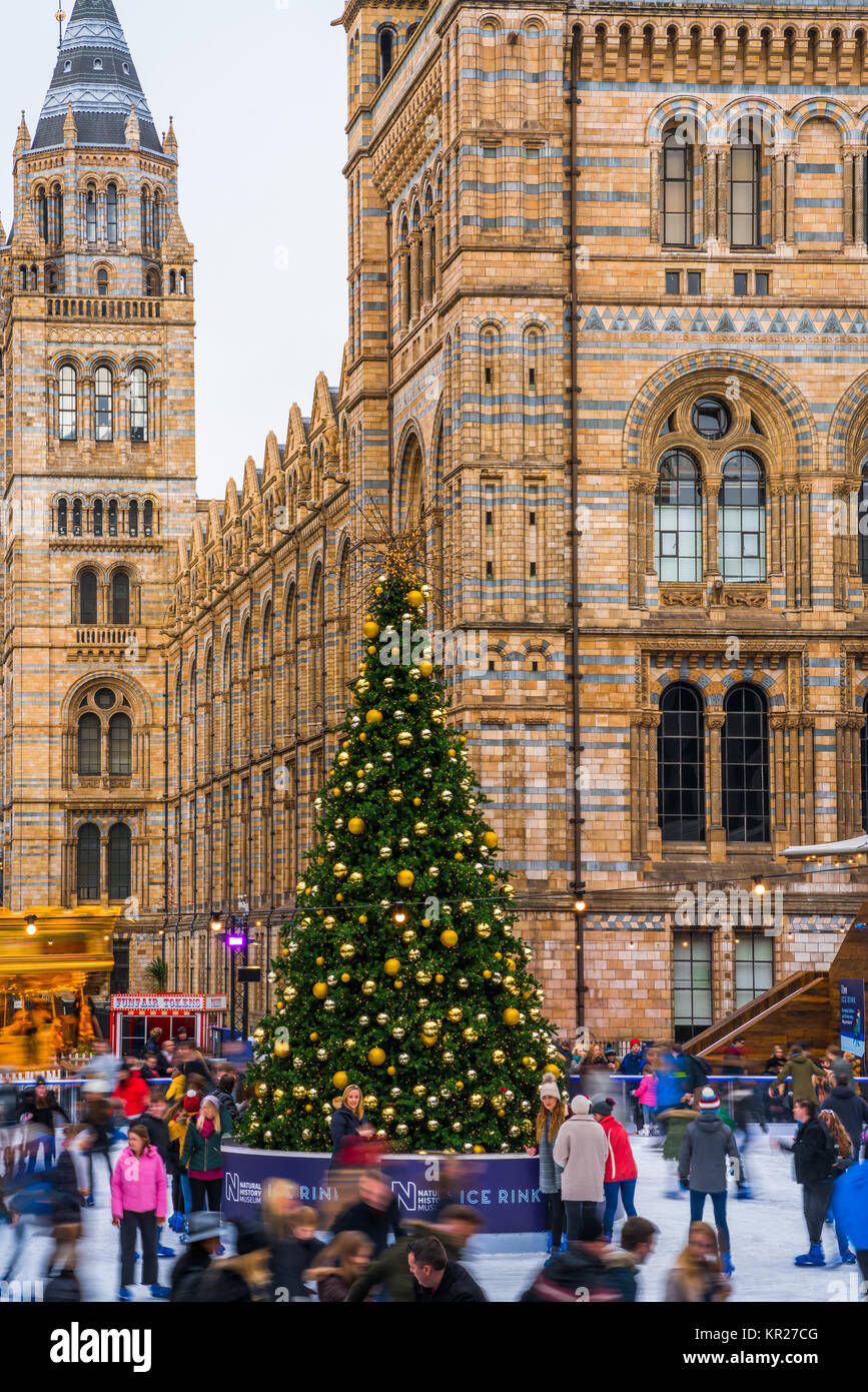 LONDON, Großbritannien - 16 Dezember, 2017: Eisbahn und Weihnachtsbaum am National History Museum. Touristen und Einheimische, die das Londoner genießen Sie Eislaufen auf einem der Vi. Stockfoto