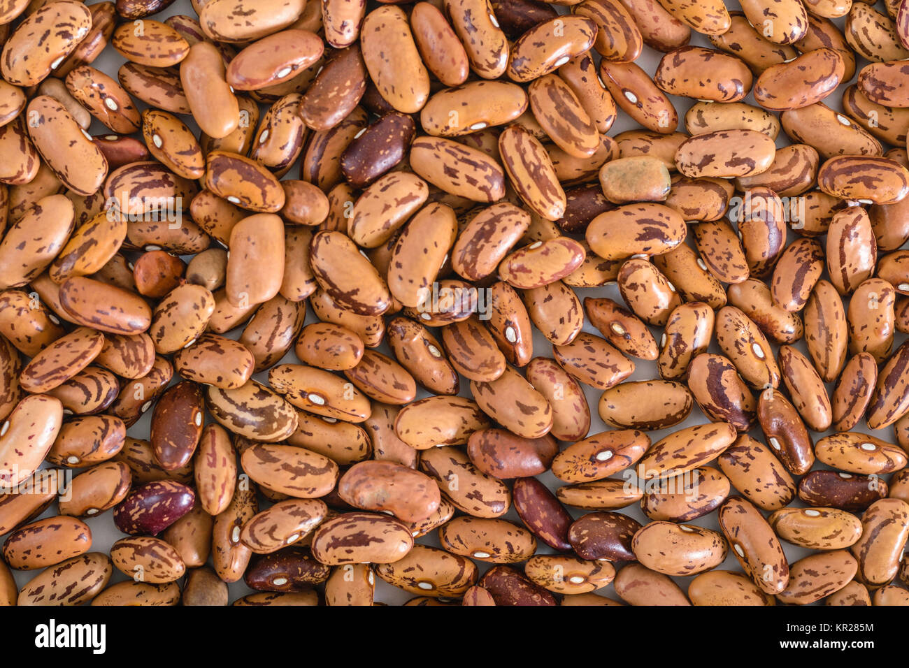 Rote Bohnen (rajma) Stockfoto