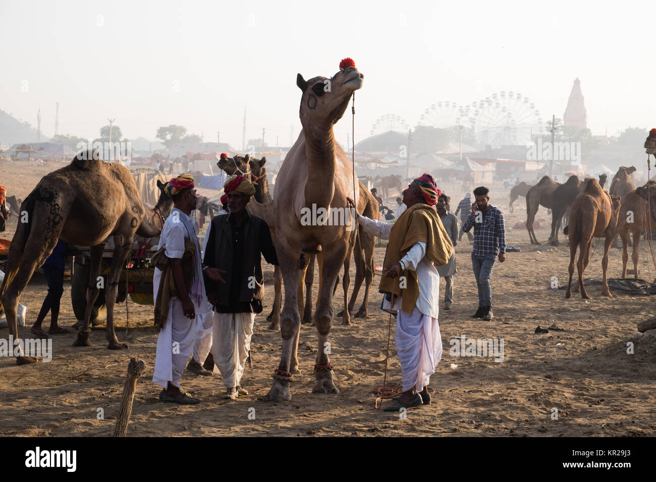 Pushkar Camel Fair, Rajasthan Stockfoto