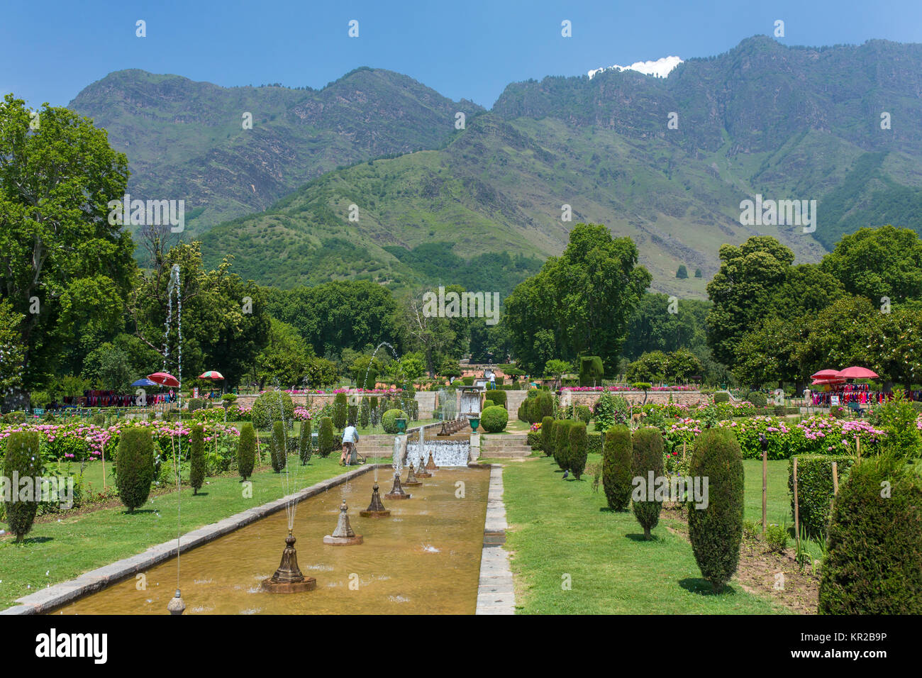 Mughal Garden in Srinagar, Indien Stockfoto