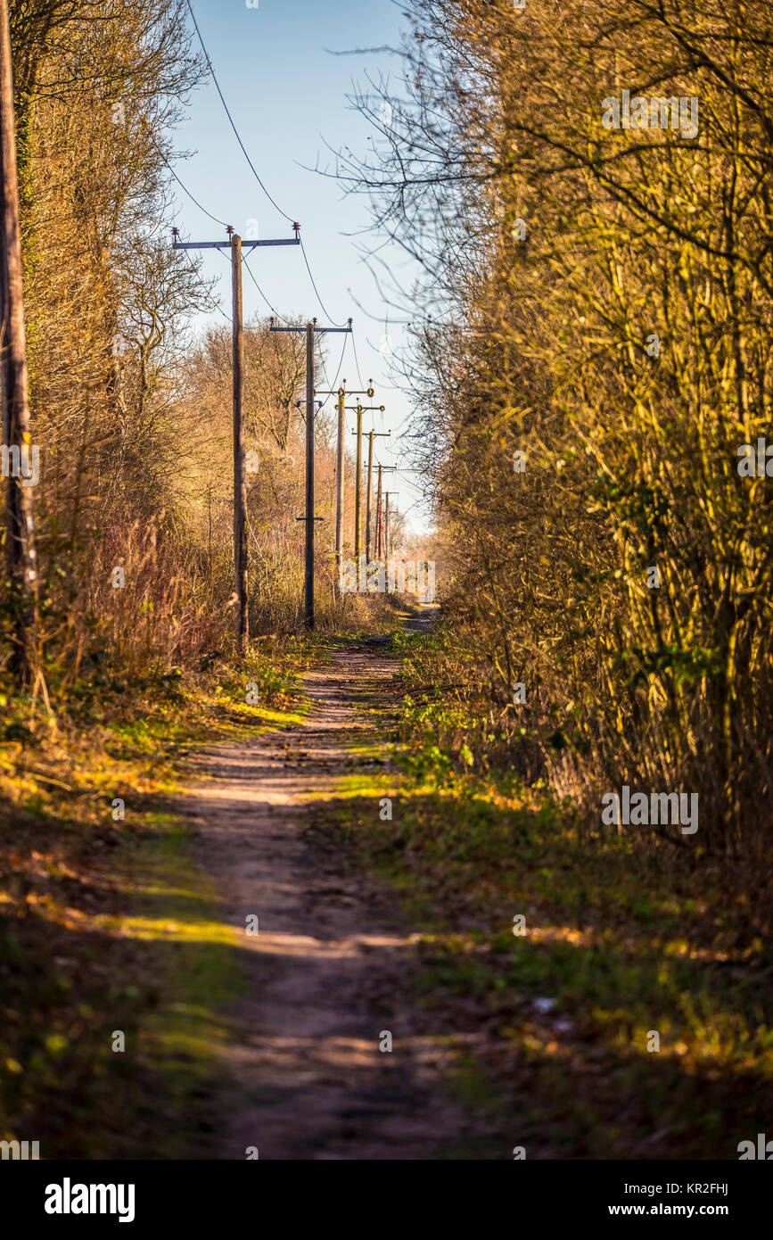 Flitch Weise Recht der Öffentlichkeit Weg Wanderweg reitweg Radweg am Anschluss Bett von Braintree zu Bishop's Stortford Bahnstrecke. Herbst Farben Stockfoto
