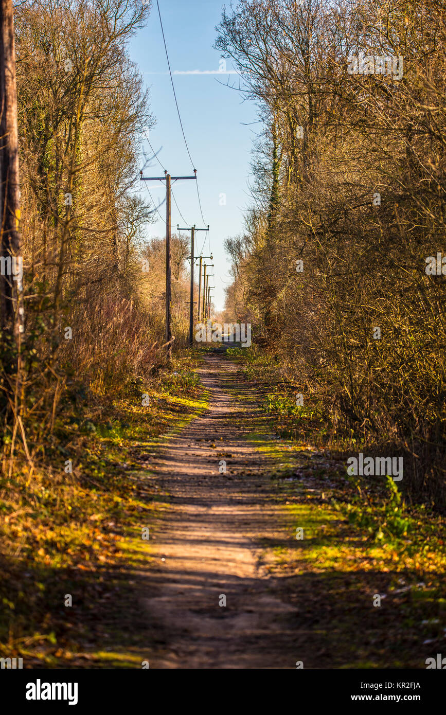 Flitch Weise Recht der Öffentlichkeit Weg Wanderweg reitweg Radweg am Anschluss Bett von Braintree zu Bishop's Stortford Bahnstrecke. Herbst Farben Stockfoto