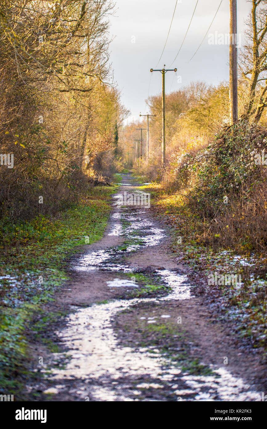 Flitch Weise Recht der Öffentlichkeit Weg Wanderweg reitweg Radweg am Anschluss Bett von Braintree zu Bishop's Stortford Bahnstrecke. Herbst Farben Stockfoto