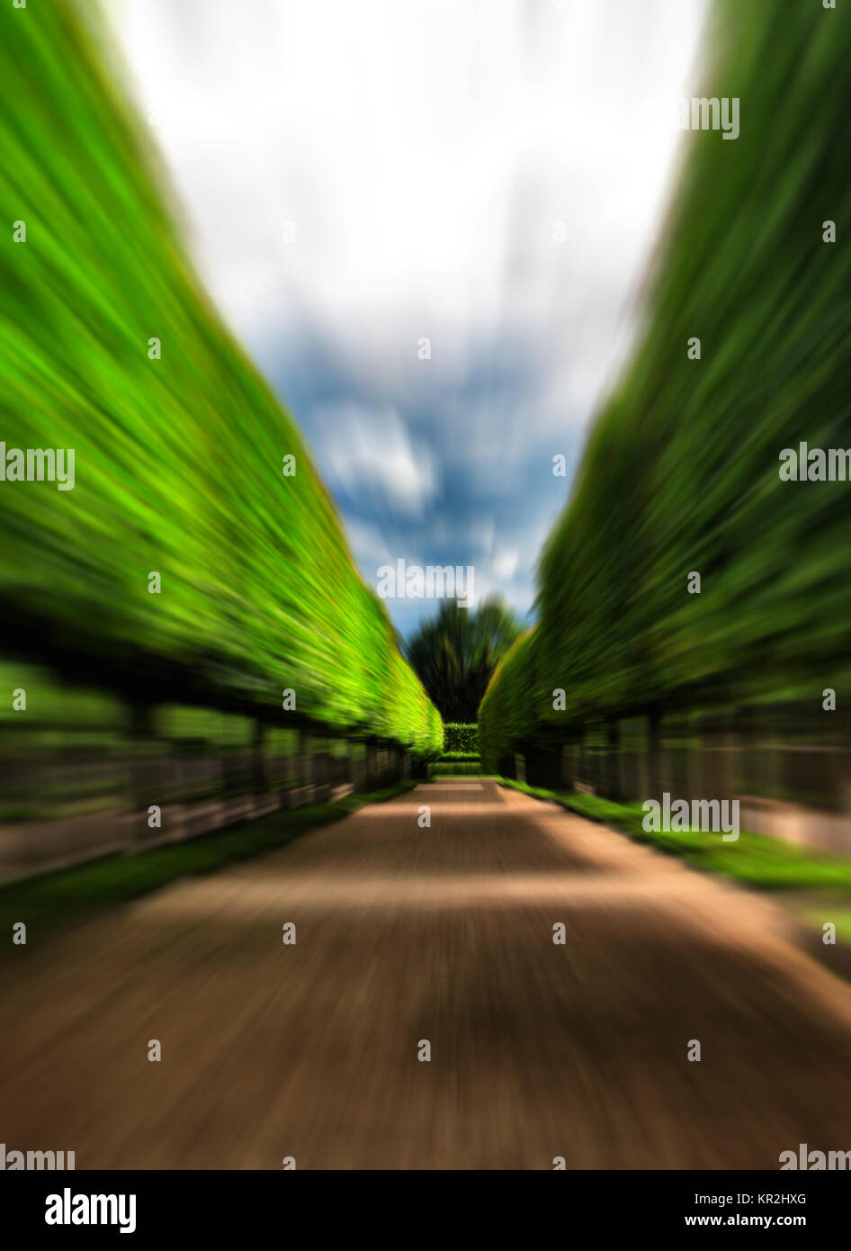Grüner Baum idyllischen Gasse Park Bewegung abstrakt Stockfoto