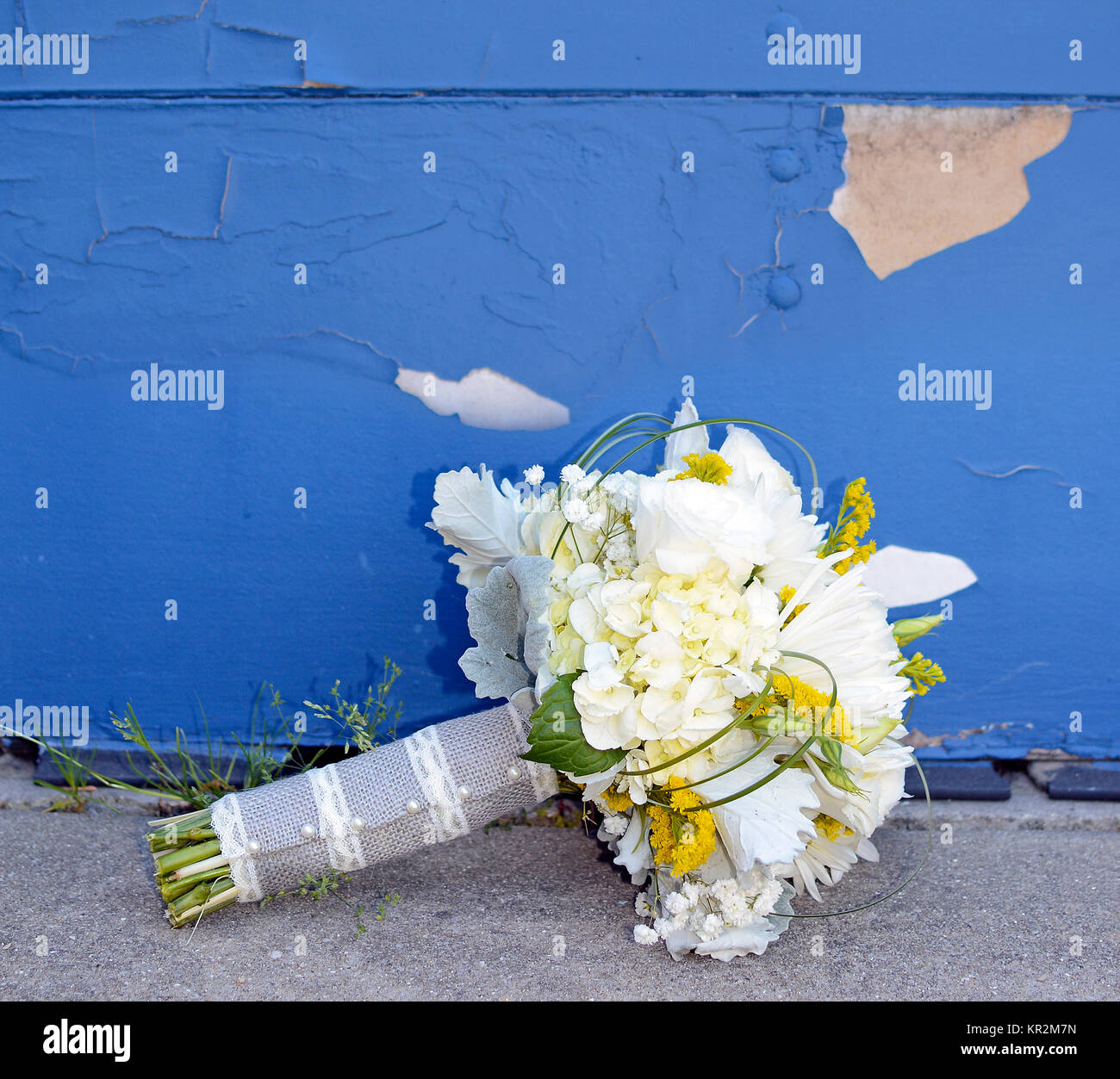 Foto eines Weiße Braut nosegay Blumenstrauß vor einer blauen Wand. Hortensien, Rosen, Mamas, Atem Baby's, Akzente von Dusty Miller und saladago. Reizend! Stockfoto