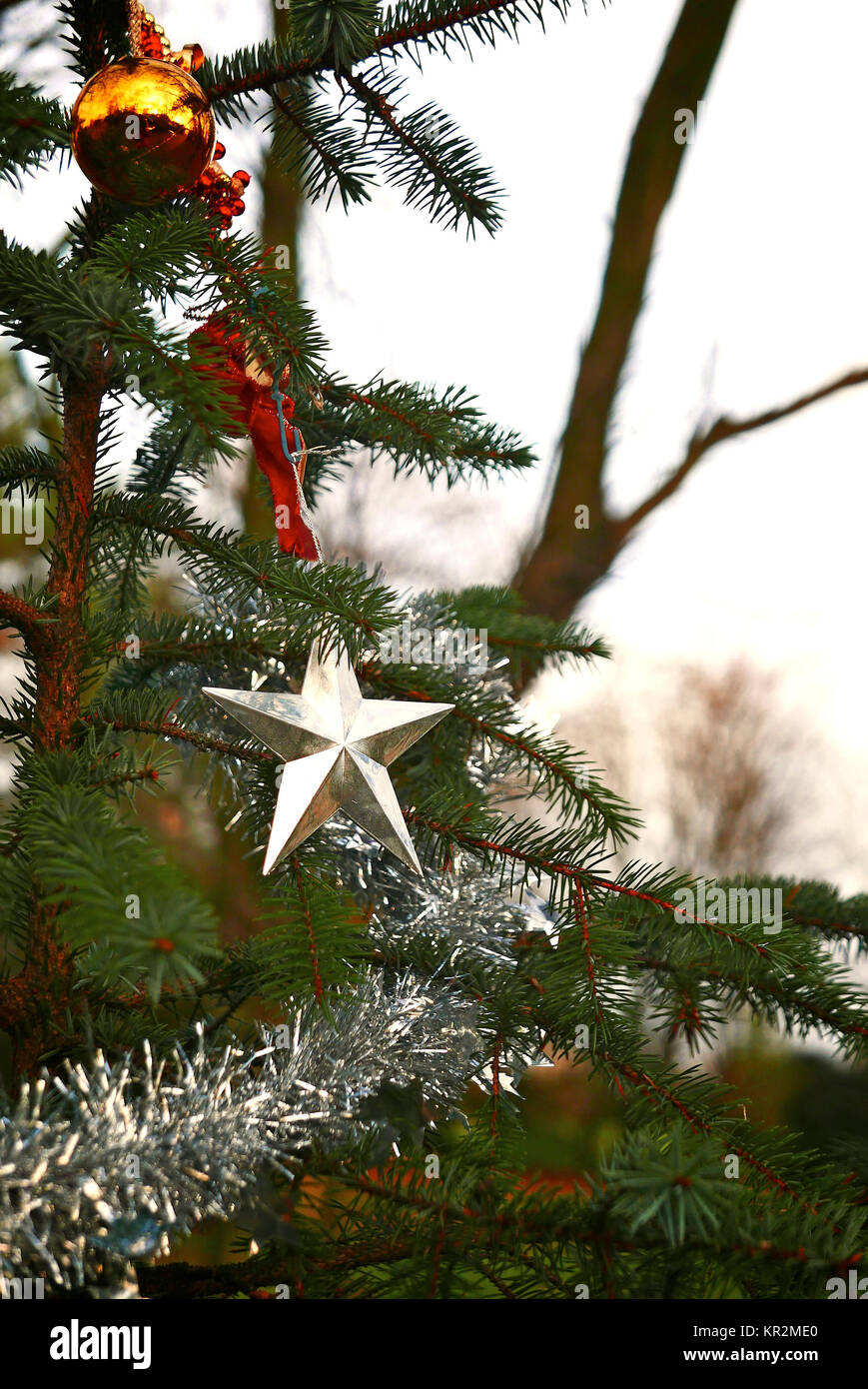 Silver Star und lametta am Weihnachtsbaum im Wald Stockfoto