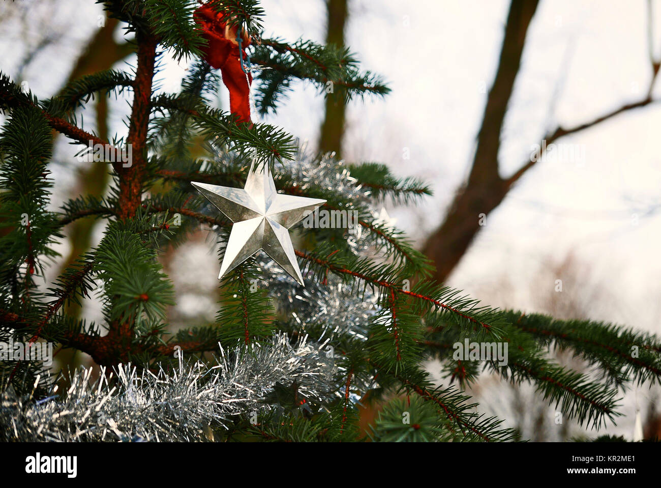 Silver Star und lametta am Weihnachtsbaum im Wald Stockfoto