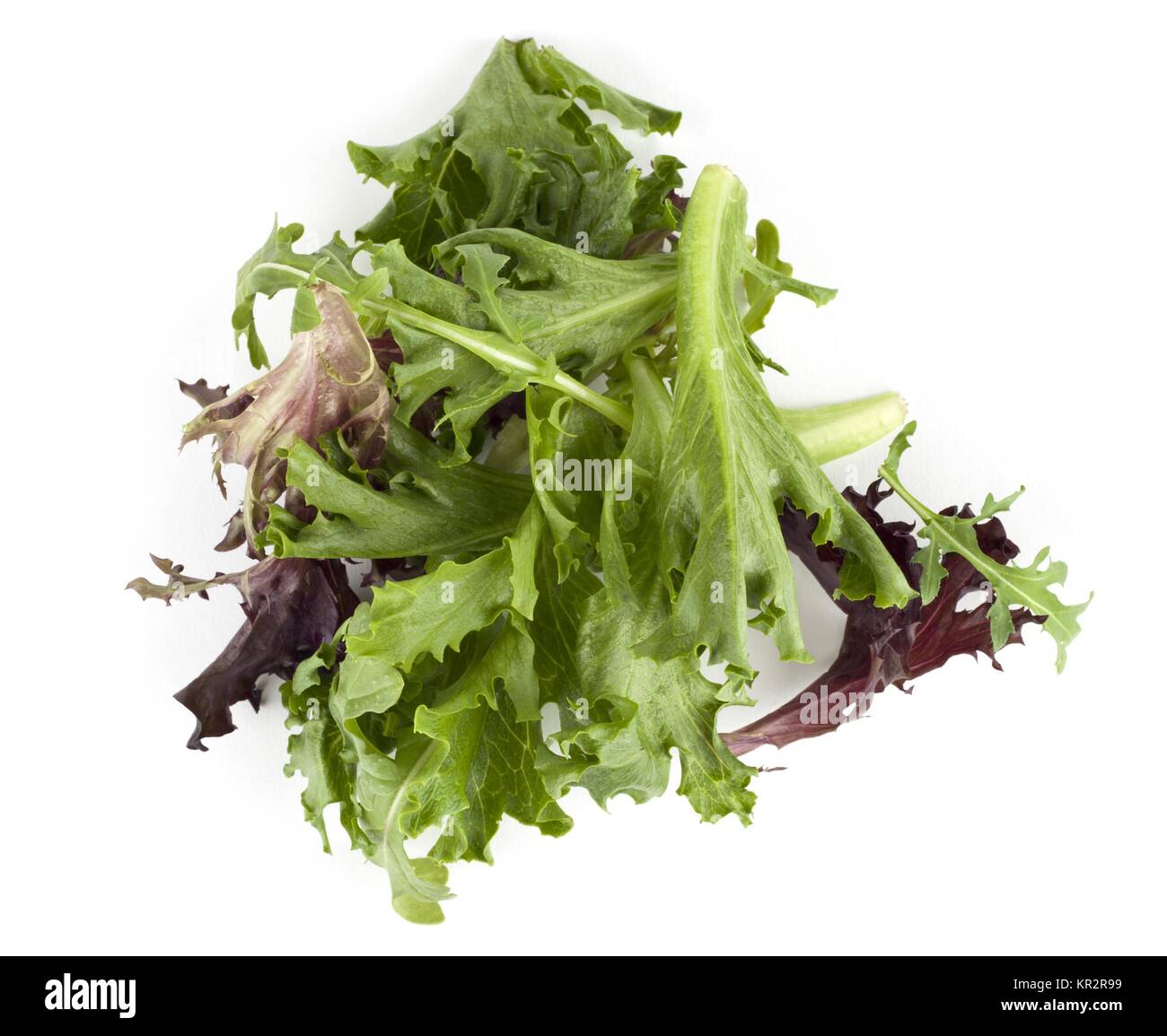 Roter und grüner Salat Stockfoto