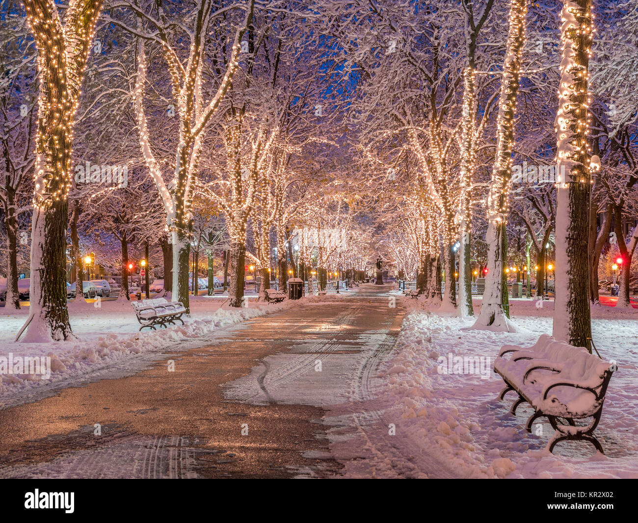 Boston in Massachusetts, USA zur Weihnachtszeit. Stockfoto