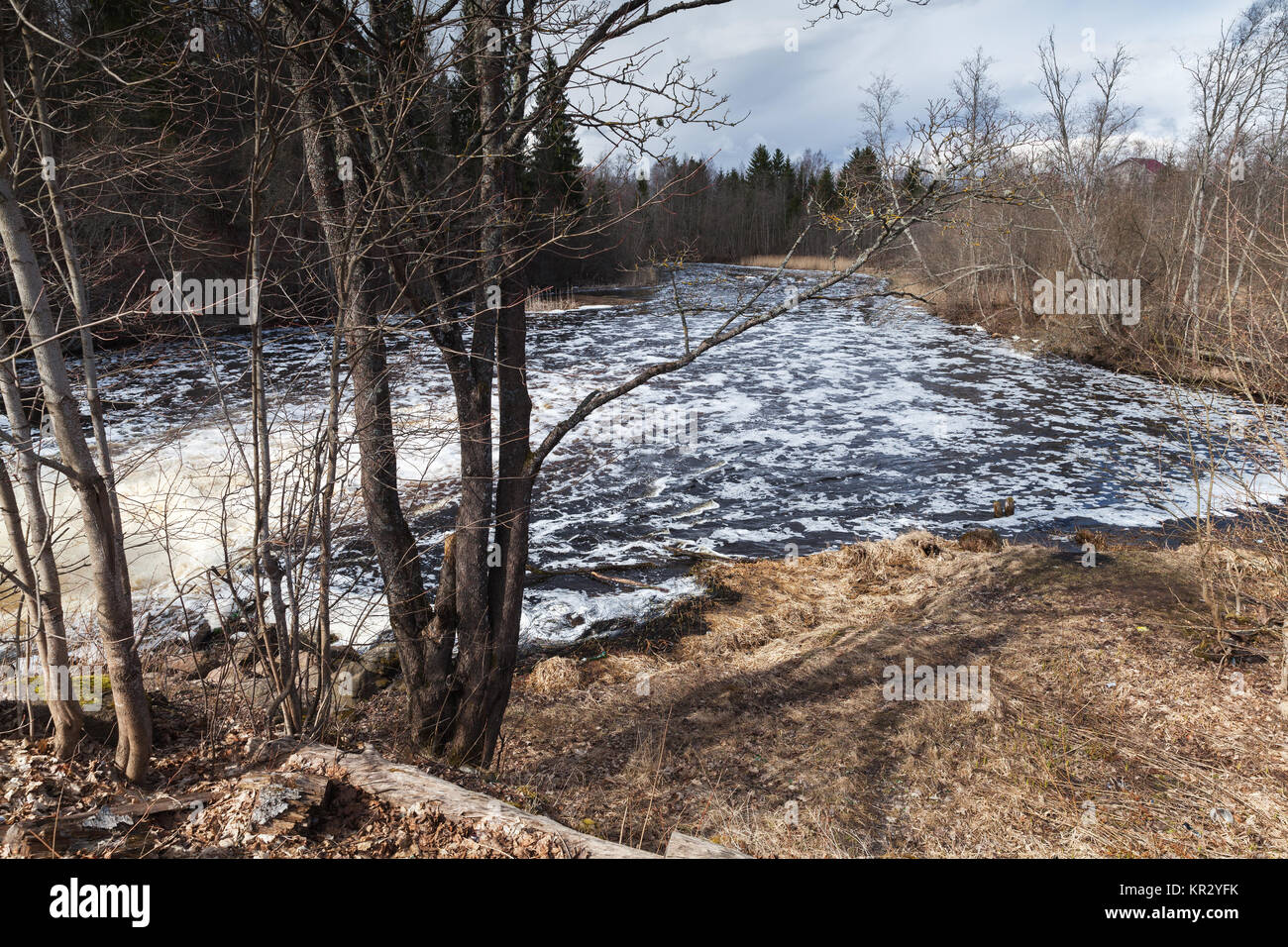 Küstenlandschaft von Oredezh Fluss im Frühling. Leningrader Oblast, Russland Stockfoto