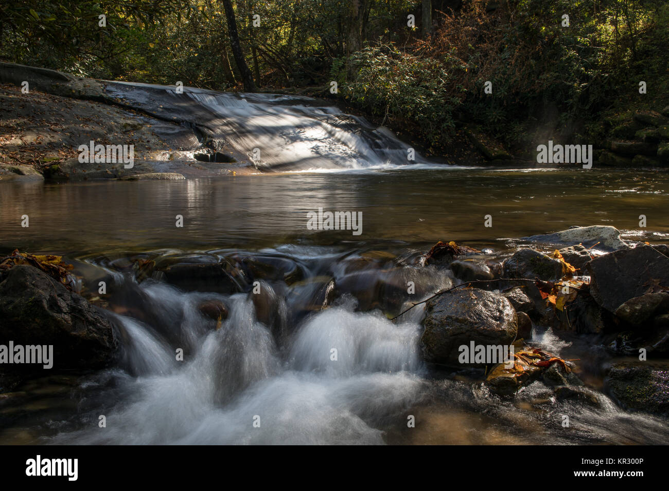 Wildcat Creek liegt in Rabun County im Norden Georgiens.  Es fließt in der Regel West nach Ost, mündet in Lake Burton entlang der westlichen Seite.  Es gibt einen gut entwickelter Campingplatz entlang Wildcat Creek Road, die den Zugang zu den Creek in diesem Bereich ist.  Es ist jährlich mit Regenbogenforellen bestückt und ist sehr beliebt bei Fischer. Stockfoto
