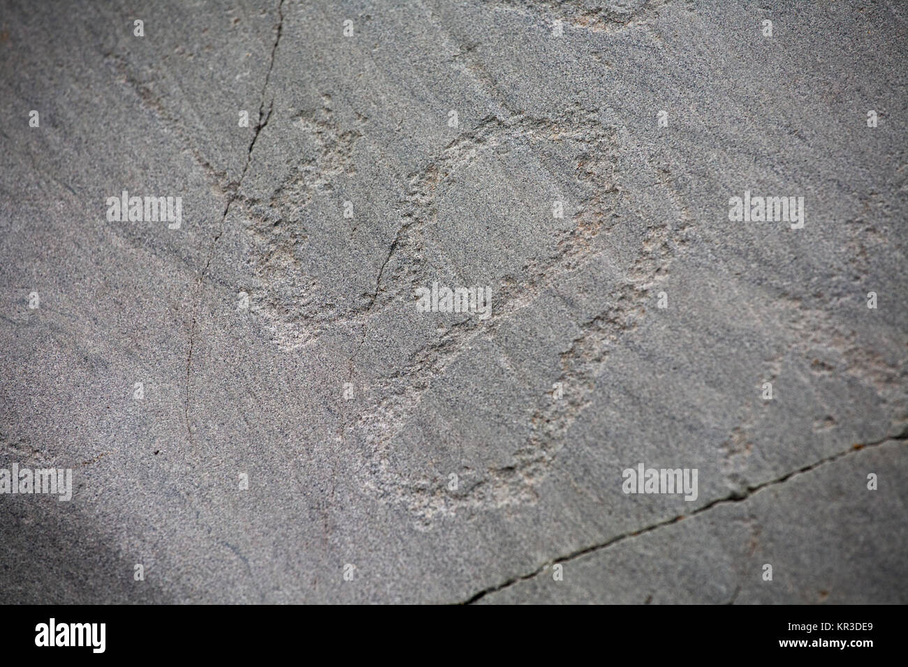 Prähistorische felsenschnitzen Felszeichnungen auf Stein Oberfläche closeup Stockfoto