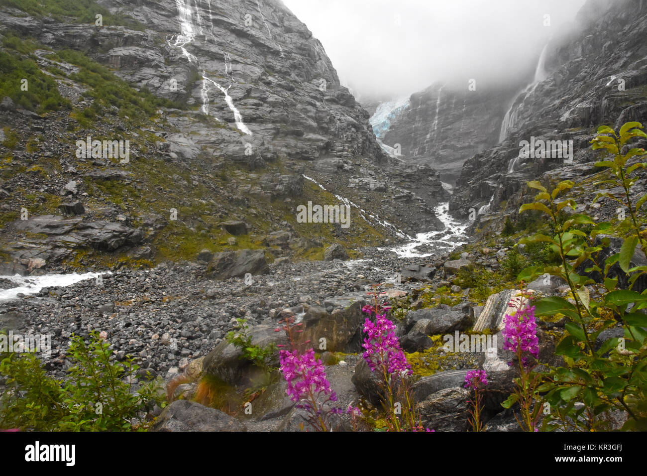 Gletscher Boyabreen, Norwegen Stockfoto