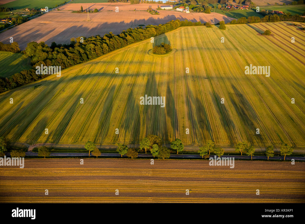 Autobahn, Gasse mit langen Schatten zwischen großen Feldern, Altenhof, Mecklenburgische Seenplatte, Mecklenburger Seenplatte, Mecklenburg-Vorpommern, Stockfoto