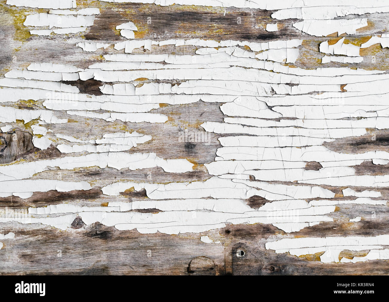 Verwitterte Holz Textur Stockfoto