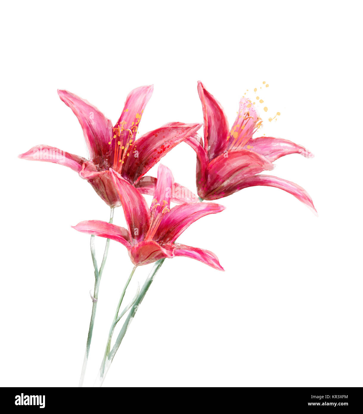 Rote Lilie Blumen Aquarell Stockfoto