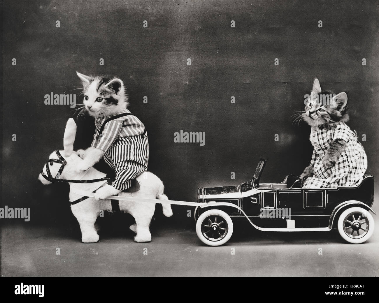 Die Aufschlüsselung zeigt zwei Kätzchen Kleider tragen mit einem Spielzeug Pferd oder Maultier Ziehen einer aufgeschlüsselt Spielzeugauto. 1914 Stockfoto