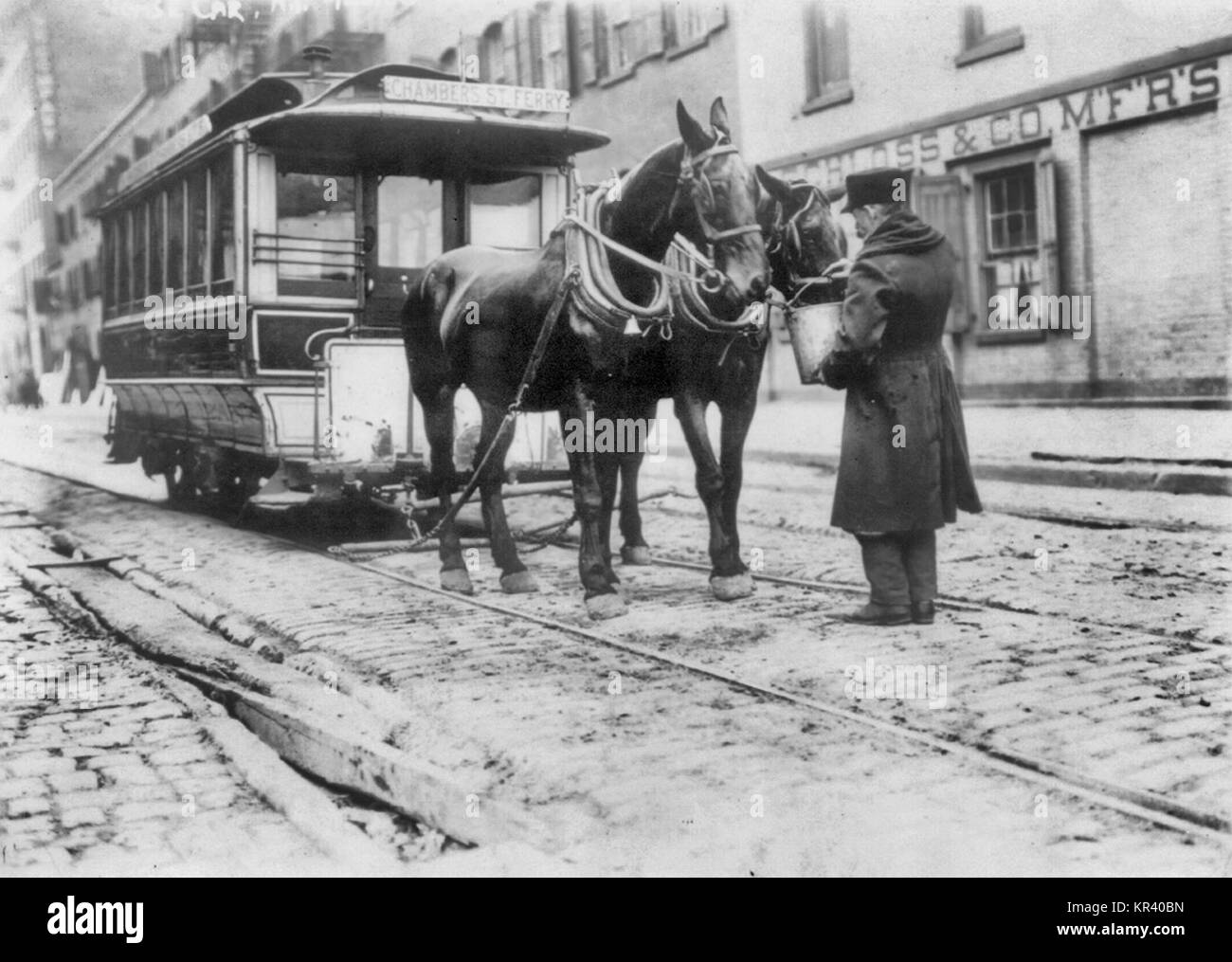 Pferd, Auto, N.Y., 1908 Stockfoto