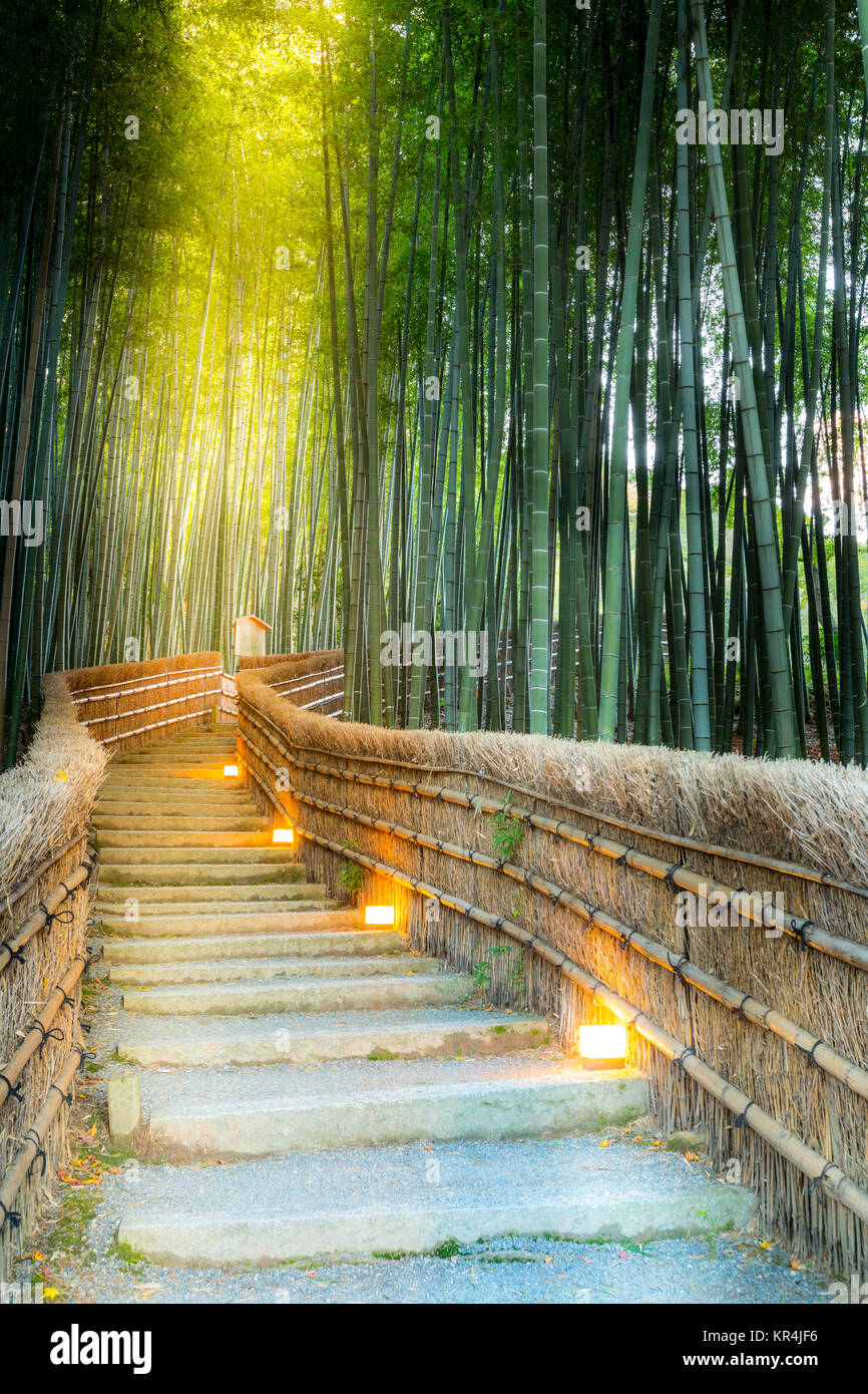 Arashiyama Bambuswald Stockfoto