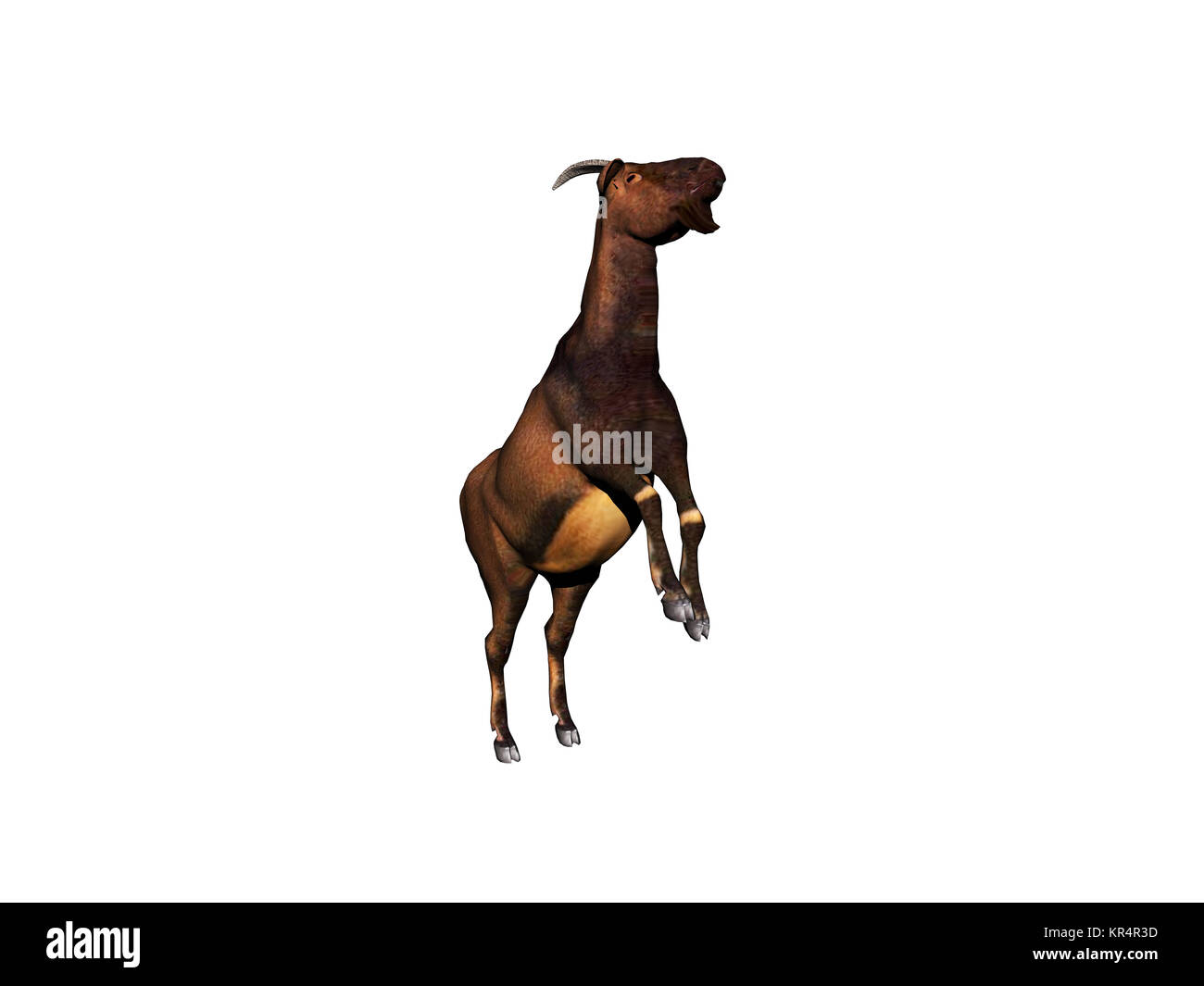 Ziegen ausgenommen Stockfoto