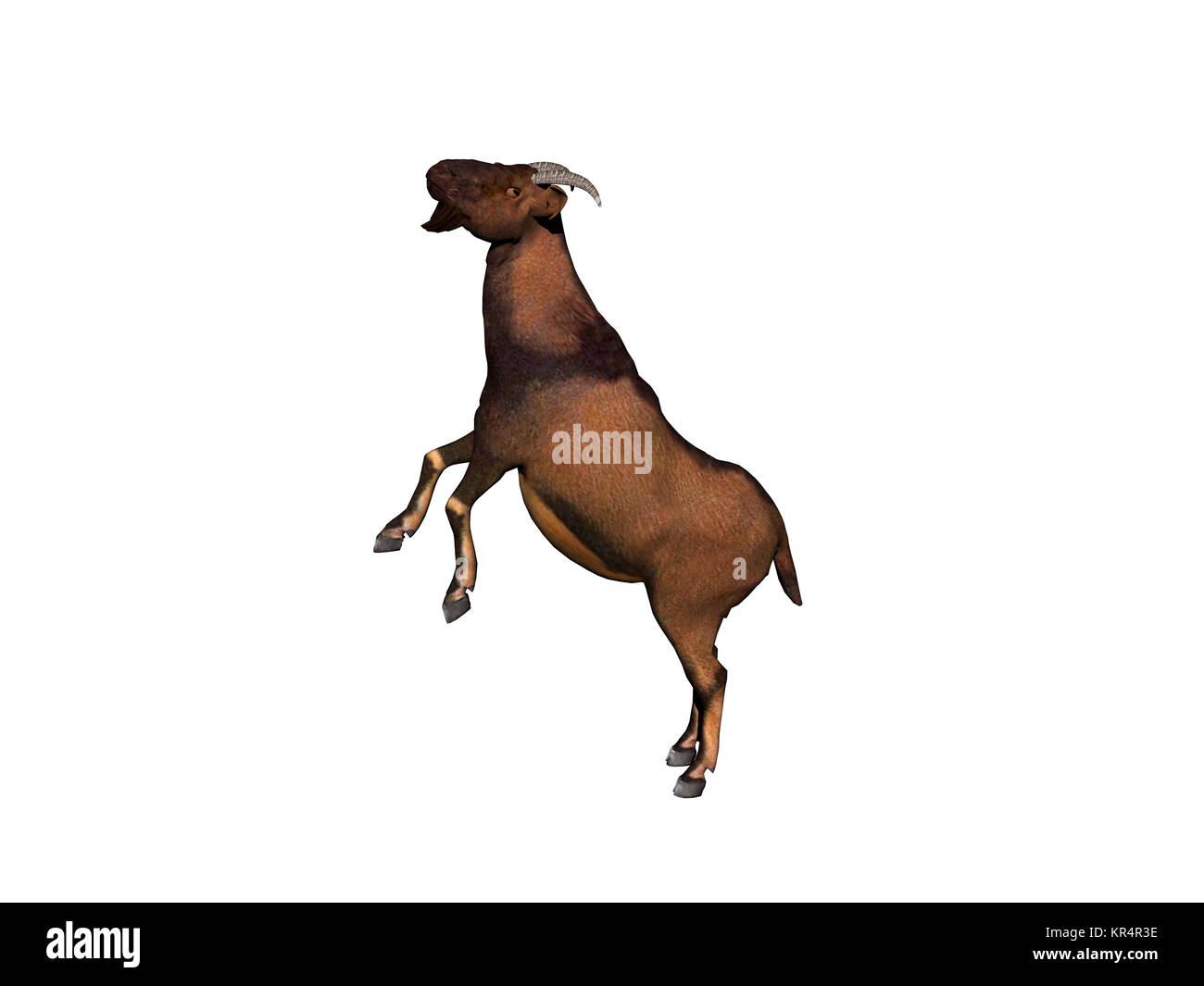 Ziegen ausgenommen Stockfoto