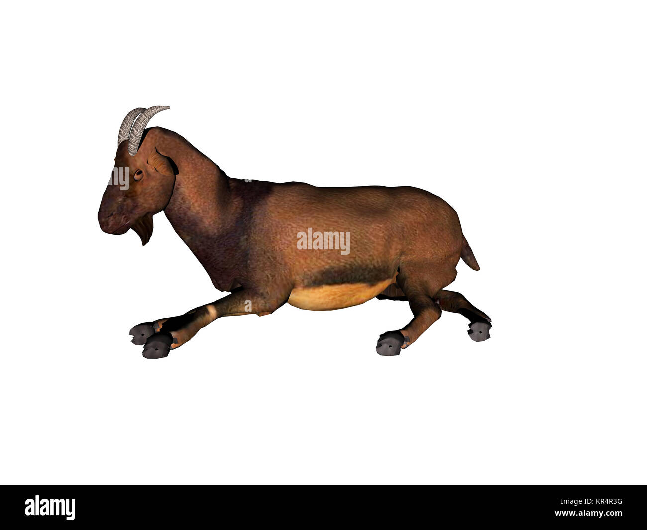 Ziegen ausgenommen Stockfoto