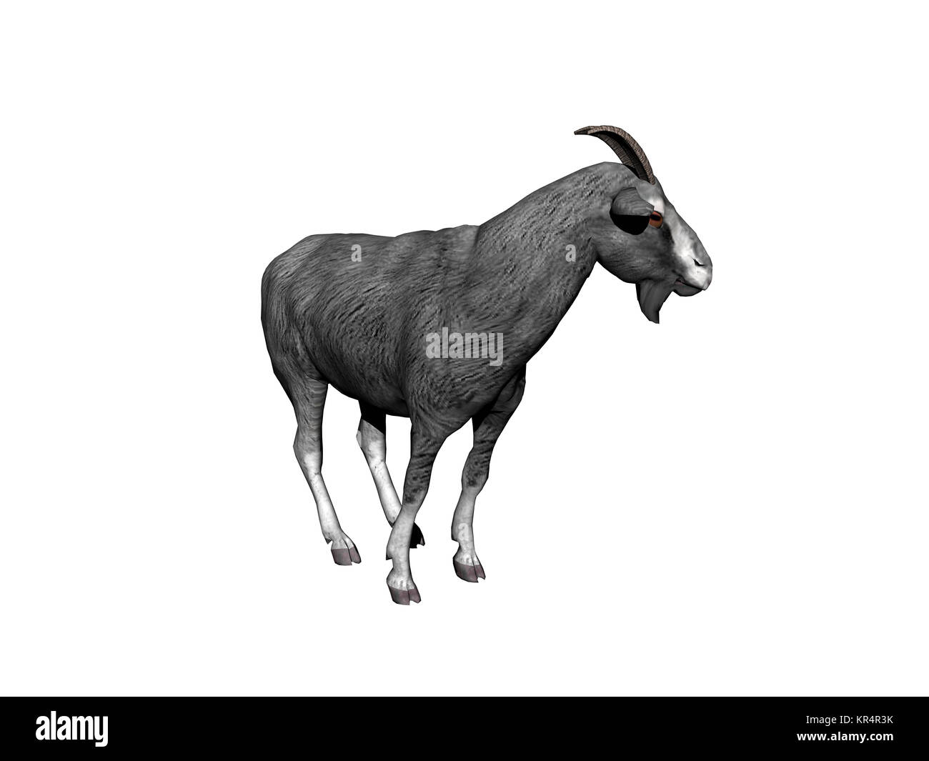 Ziegen ausgenommen Stockfoto