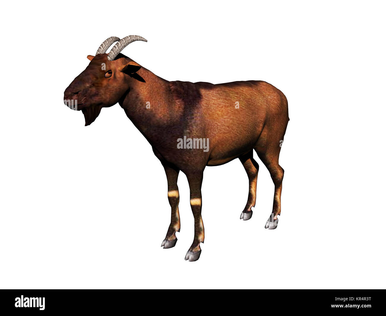 Ziegen ausgenommen Stockfoto