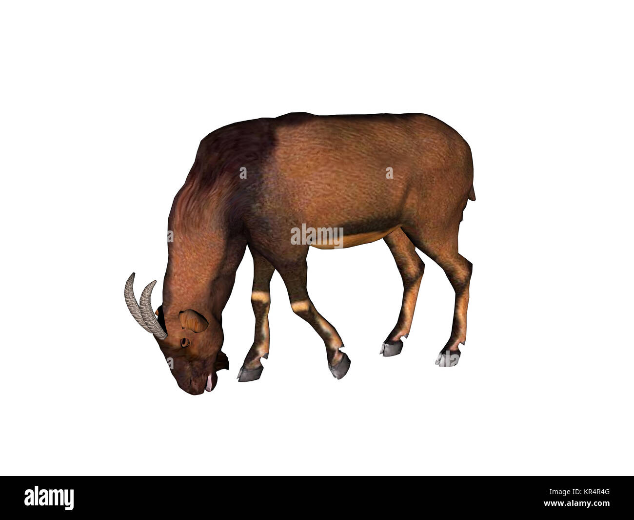 Ziegen ausgenommen Stockfoto