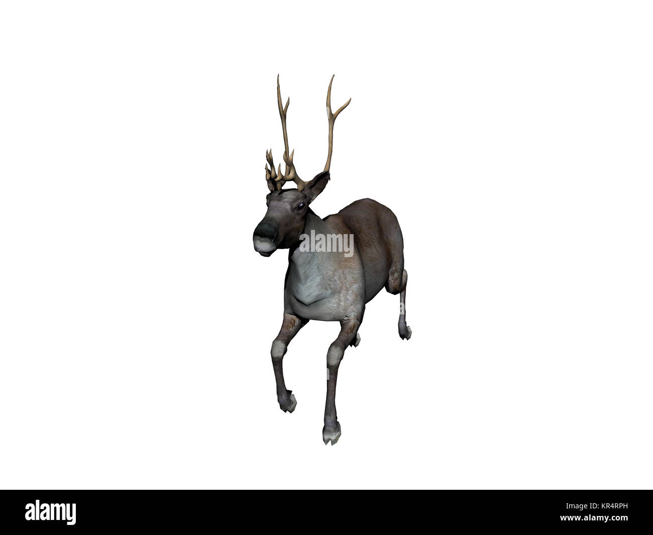 Rentiere ausgenommen Stockfoto