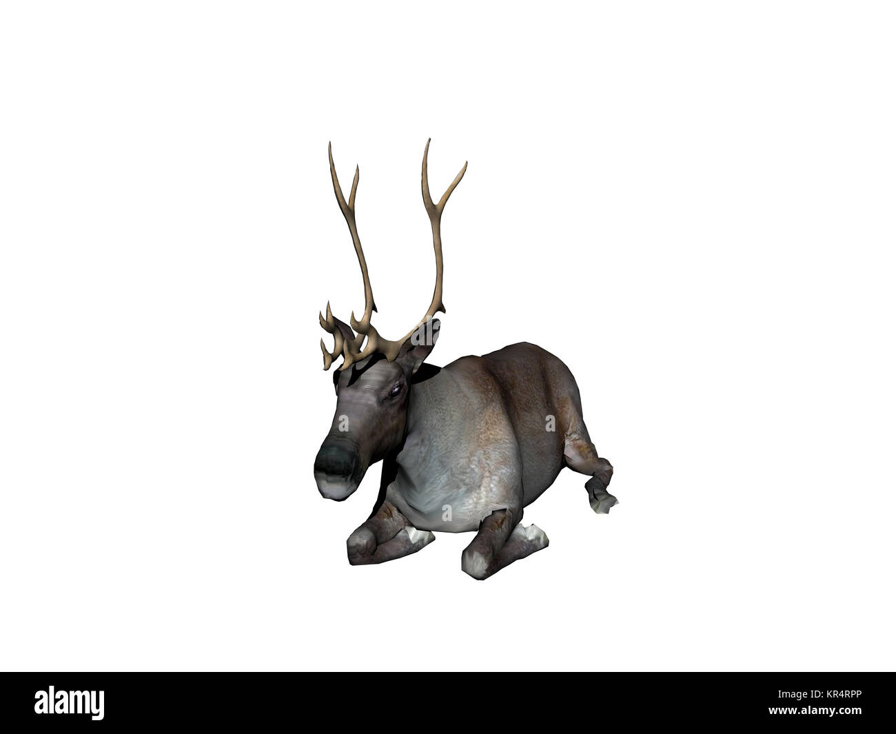 Rentiere ausgenommen Stockfoto