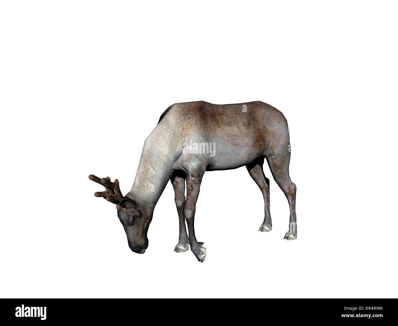Rentiere ausgenommen Stockfoto