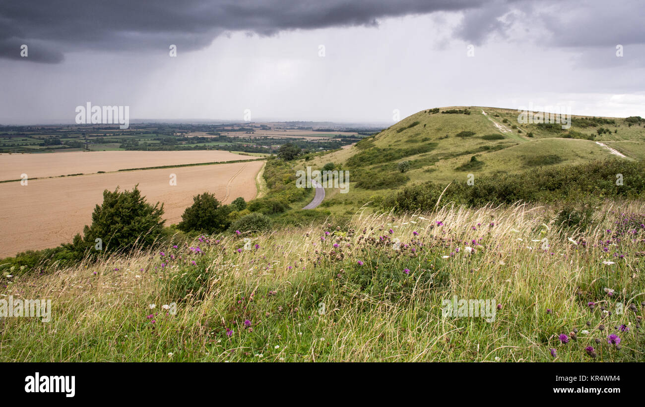 Ein platzregen von Regen über die landwirtschaftlich genutzten Ebene des Aylesbury Vale in Buckinghamshire, England, mit der Wiese - bedeckte Hänge des Ivinghoe werden Stockfoto