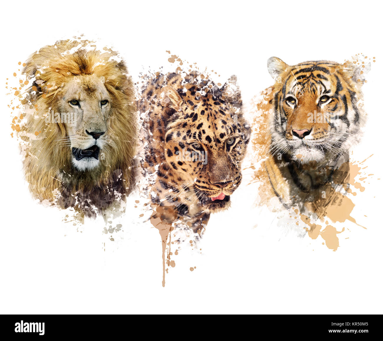 Löwe, Leopard und Tiger Aquarell Stockfoto