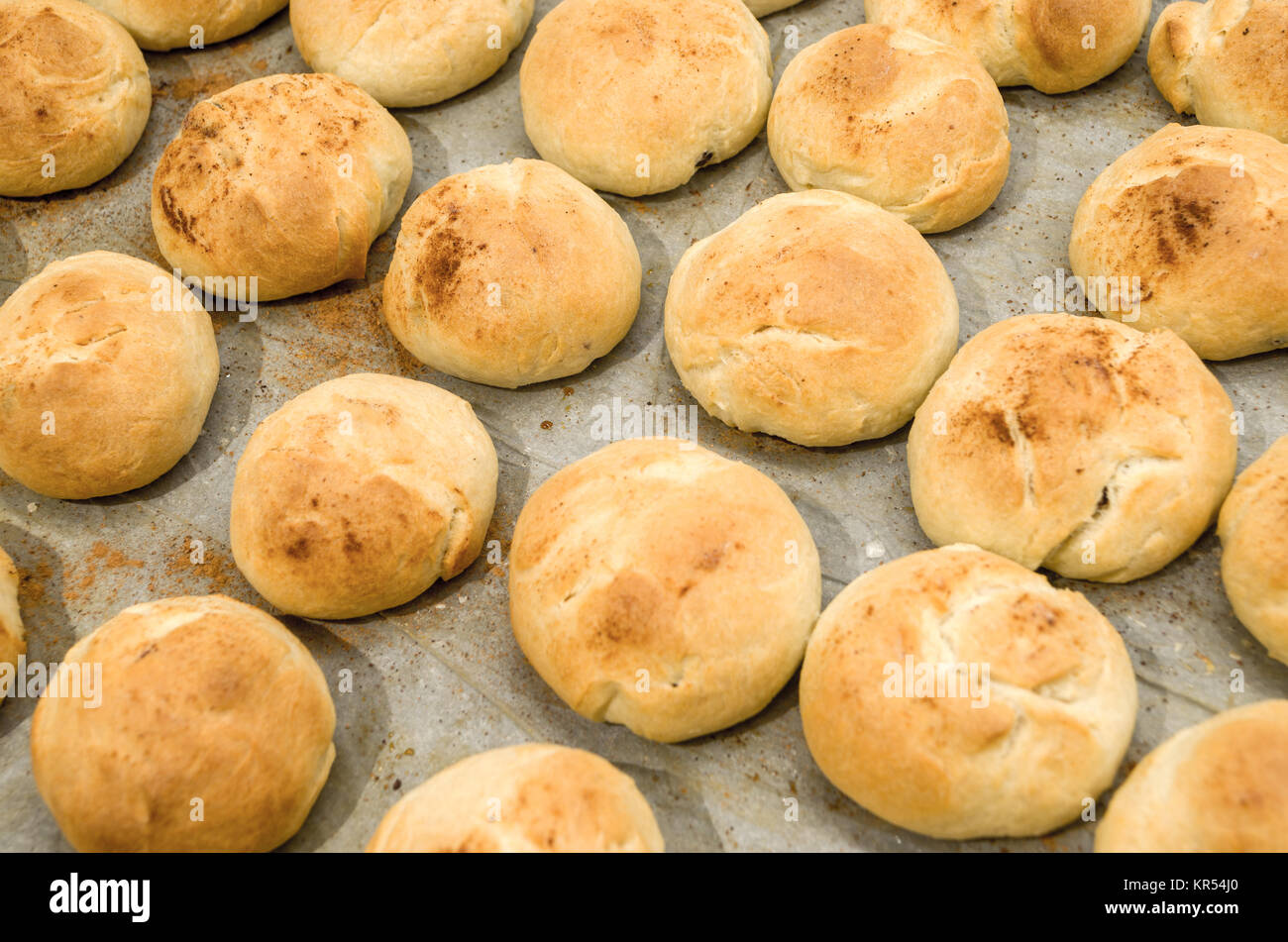 Backblech, mit Backpapier, voll von hausgemachten Weihnachten weichen Hefe Brötchen mit Zimt, Cranberry und Rosinen, gerade aus dem Ofen abgedeckt. Stockfoto