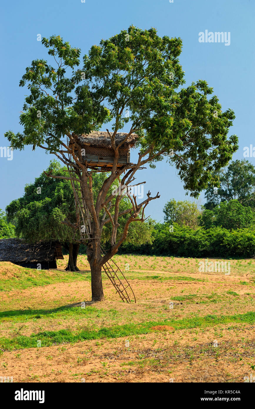 Baumhaus Stockfoto