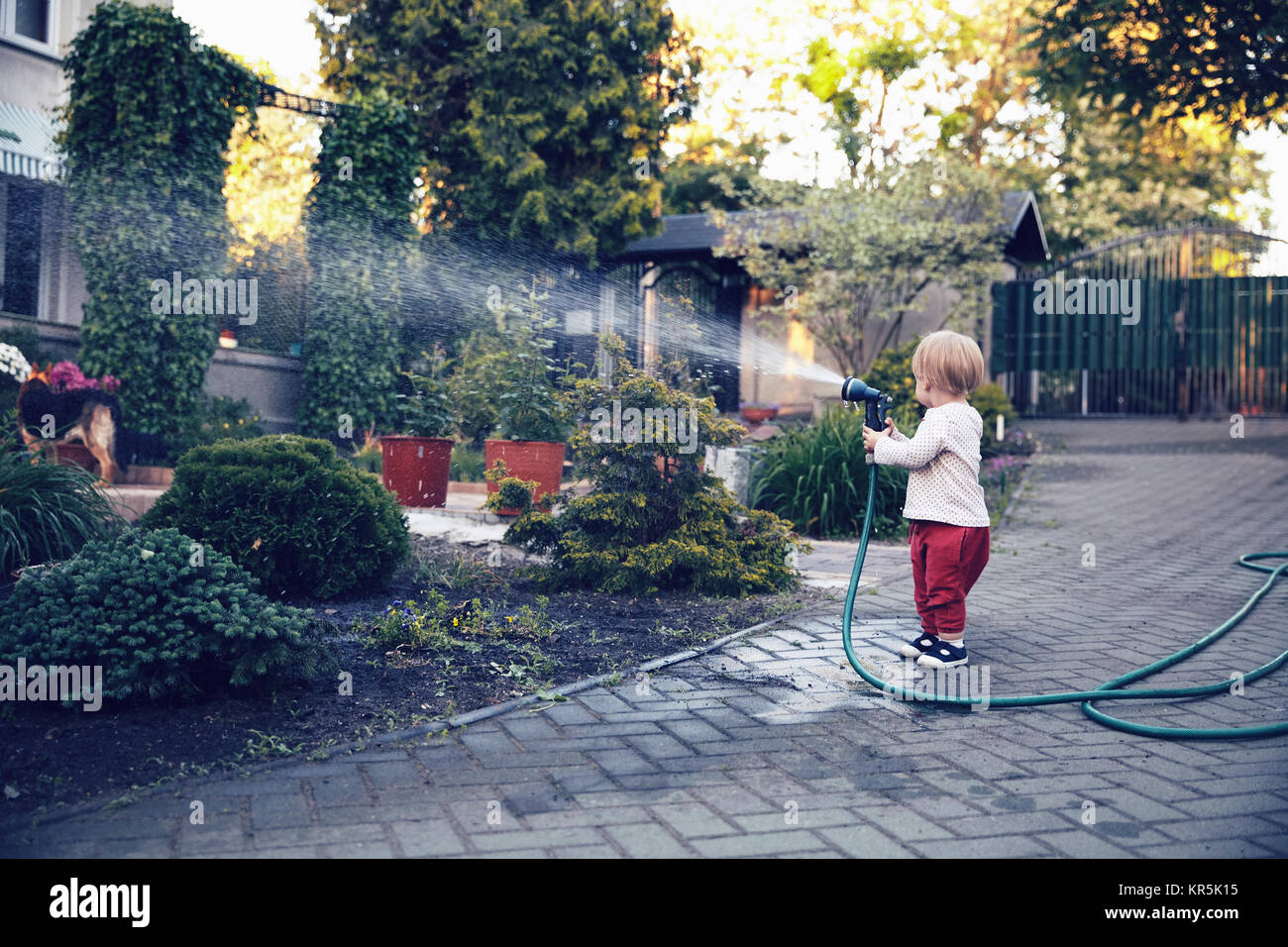 Baby Mädchen die Bewässerung des Gartens mit Schlauch Stockfoto