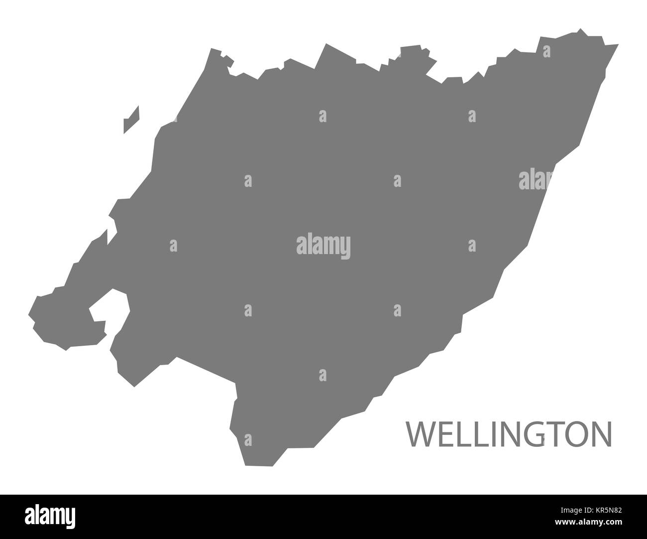 Wellington Neuseeland Karte grau Stockfoto