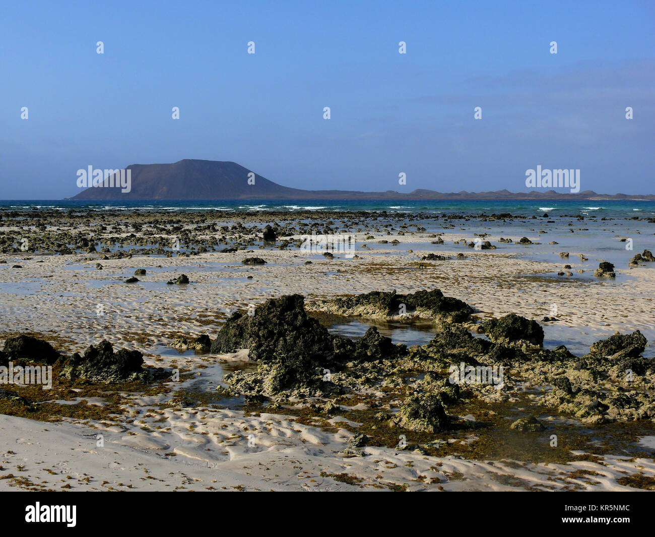 Strand auf forteventura in Corralejo Stockfoto