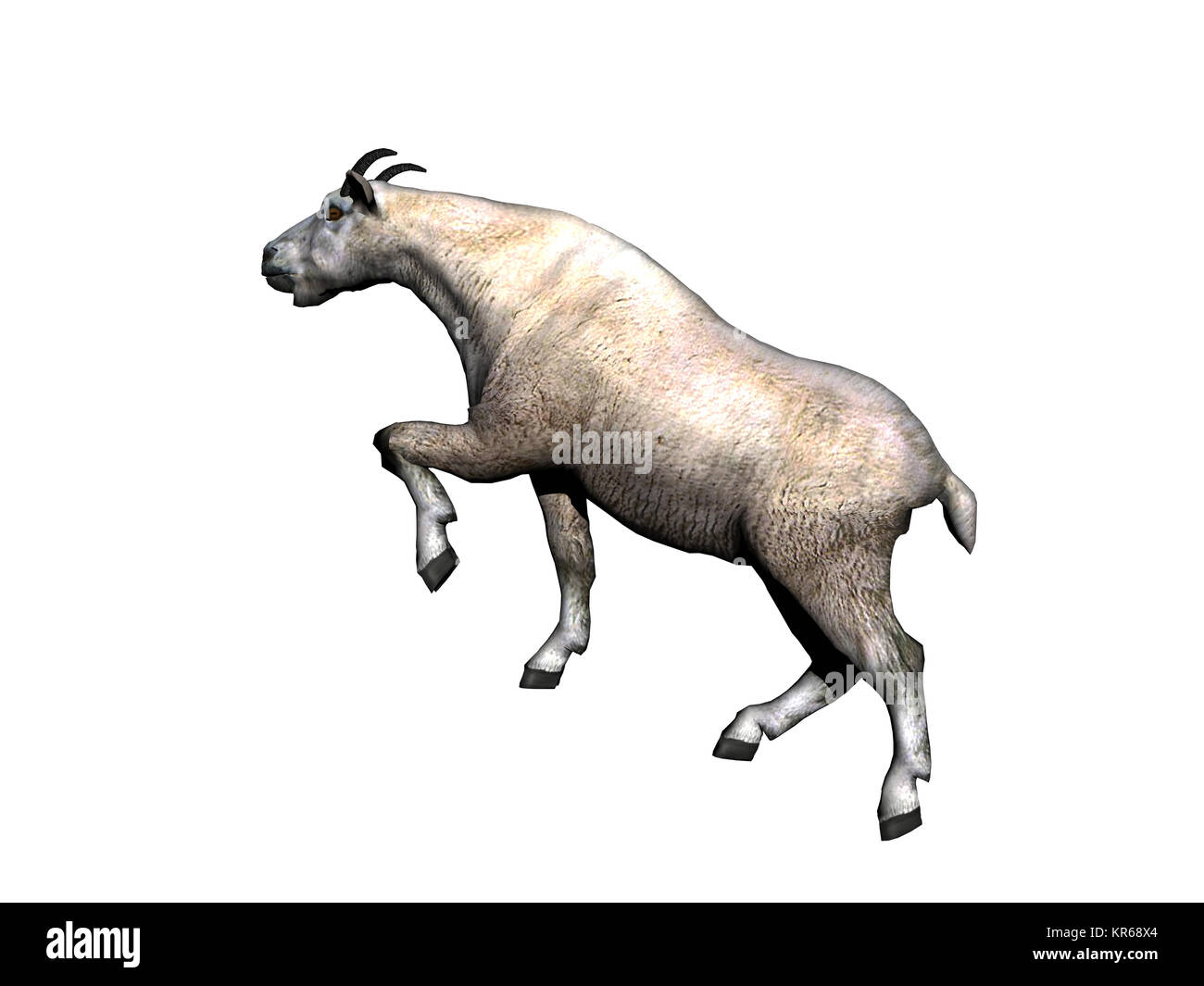 Ziegen ausgenommen Stockfoto
