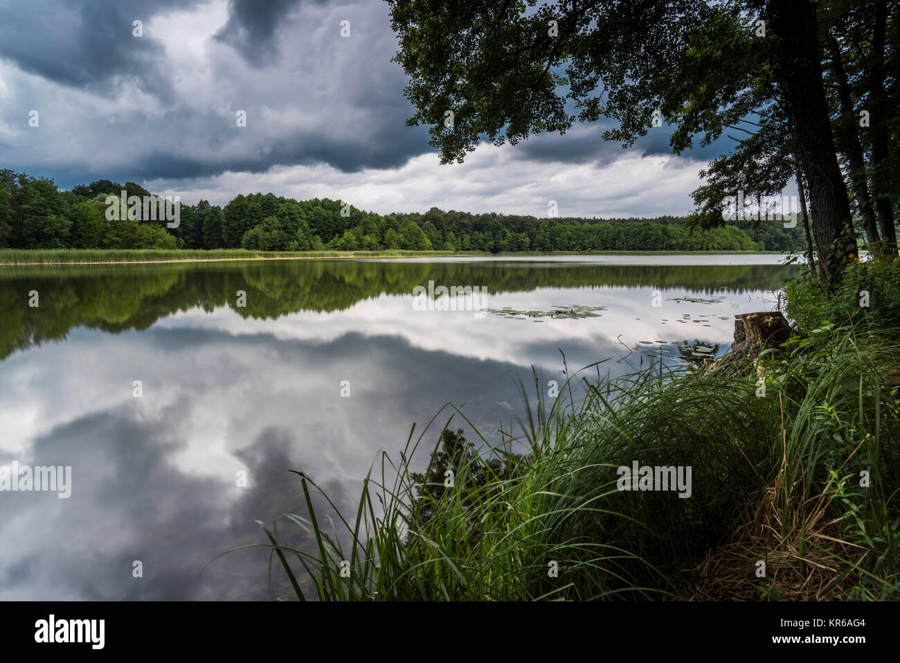 Reflexion des schönen, dunklen Wolken auf einem See mit umgestürzten Bäumen am Ufer Stockfoto